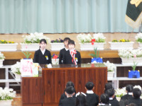 DSCF6951