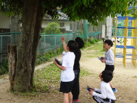 DSC01750