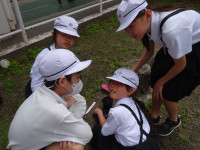 DSC01790