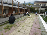 DSC01806