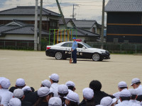 DSC01941