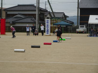 DSC02067