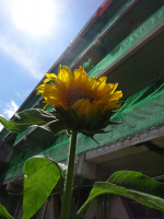 DSC02671