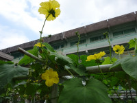 DSC02829