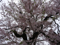 DSC04802