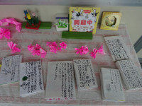 DSC04997