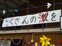 DSC01242