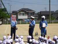 DSC07973
