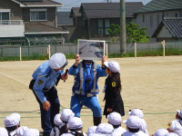 DSC07981