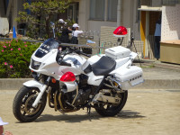 DSC08020