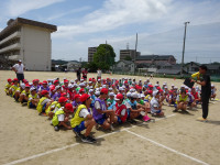 DSC08087