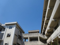DSC08811
