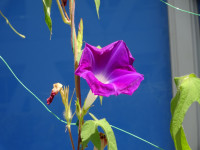 DSC08809