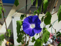 DSC08834