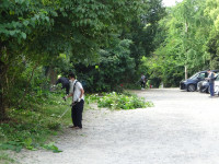 DSC08846